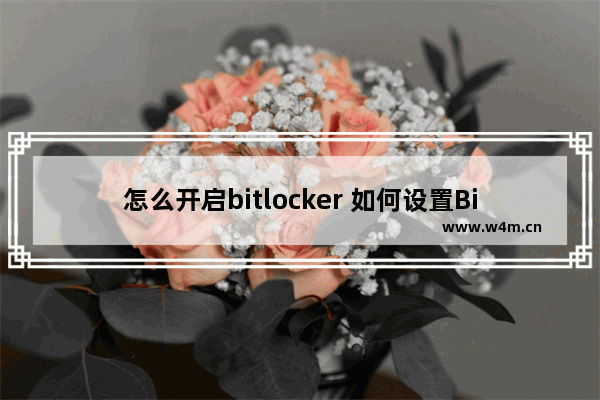 怎么开启bitlocker 如何设置BitLocker