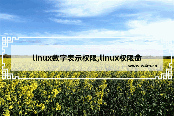 linux数字表示权限,linux权限命令chmod777