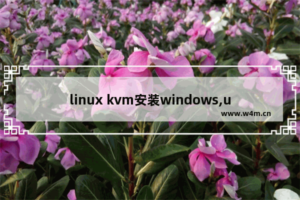 linux kvm安装windows,ubuntu 安装kvm