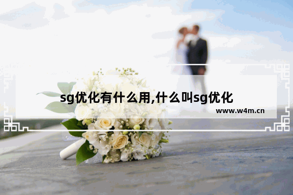 sg优化有什么用,什么叫sg优化