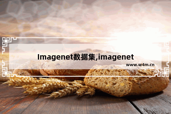 Imagenet数据集,imagenet数据集有哪些种类