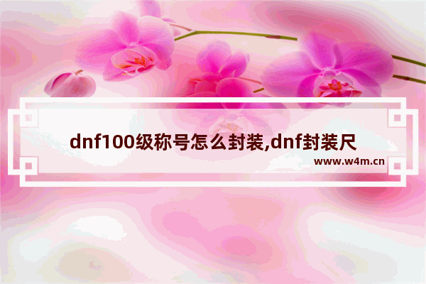 dnf100级称号怎么封装,dnf封装尺寸图