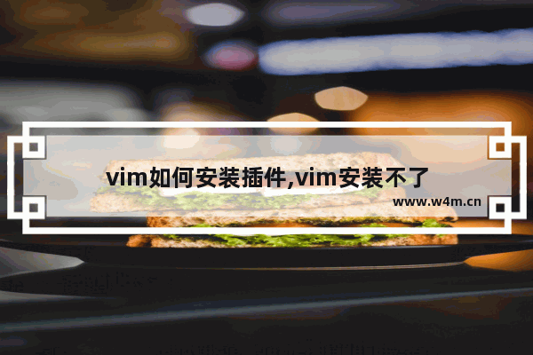 vim如何安装插件,vim安装不了