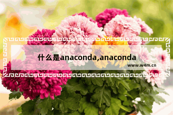 什么是anaconda,anaconda与miniconda区别