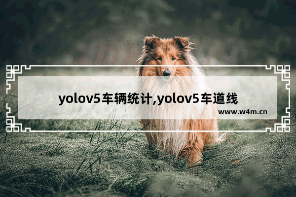 yolov5车辆统计,yolov5车道线检测