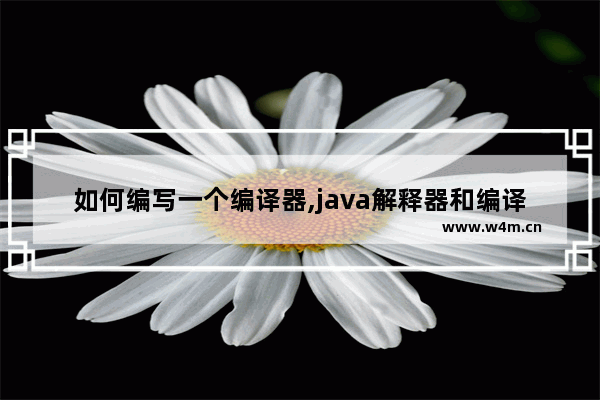 如何编写一个编译器,java解释器和编译器的区别和联系,如何编写一个编译器,java解释器和编译器的区别与联系