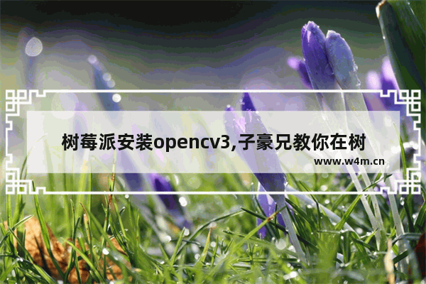 树莓派安装opencv3,子豪兄教你在树莓派上安装opencv