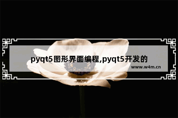 pyqt5图形界面编程,pyqt5开发的漂亮界面