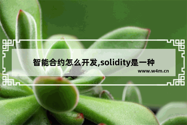 智能合约怎么开发,solidity是一种智能合约高级语言,运行在