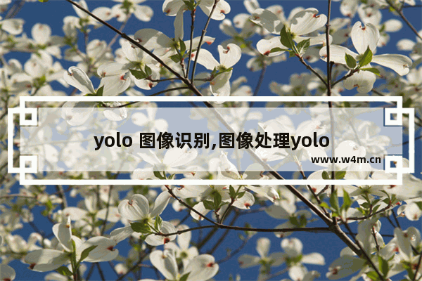 yolo 图像识别,图像处理yolo