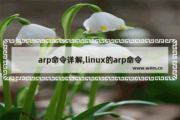 arp命令详解,linux的arp命令