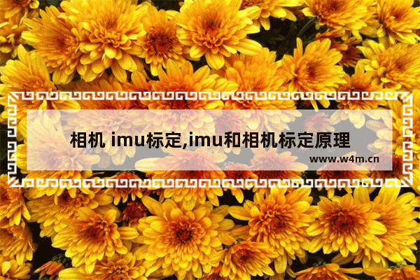 相机 imu标定,imu和相机标定原理