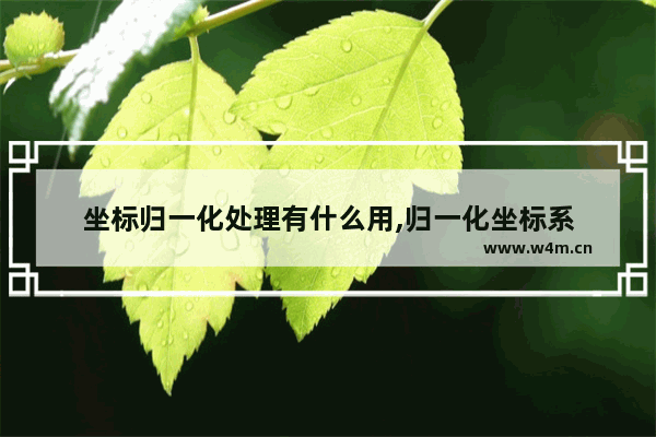 坐标归一化处理有什么用,归一化坐标系