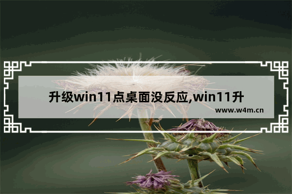 升级win11点桌面没反应,win11升级后无法进入桌面