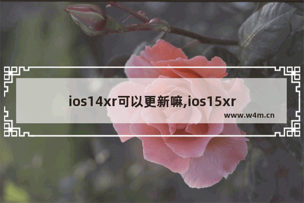 ios14xr可以更新嘛,ios15xr能更新吗