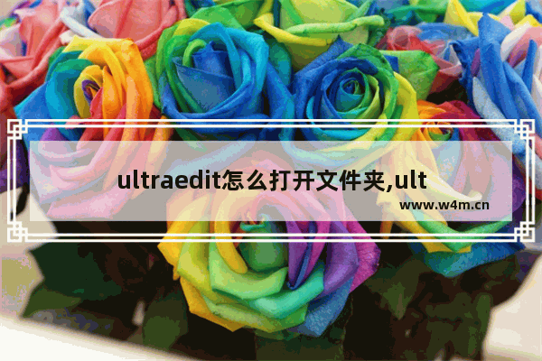 ultraedit怎么打开文件夹,ultraedit显示所有文件