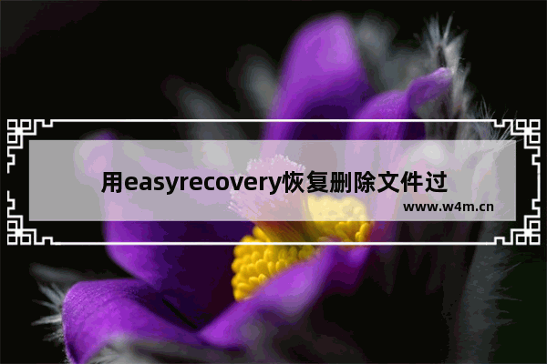 用easyrecovery恢复删除文件过程,easyrecovery数据恢复