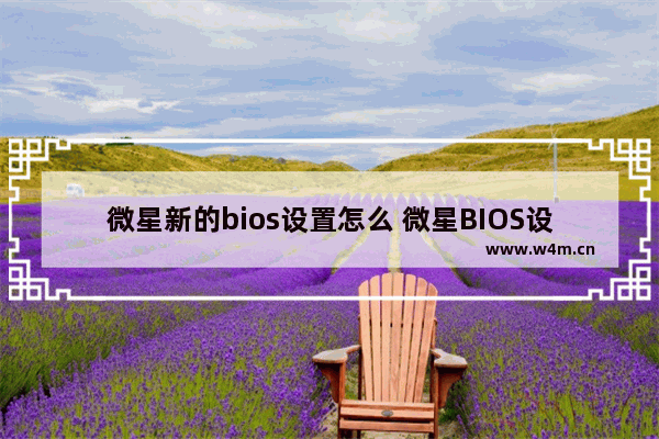 微星新的bios设置怎么 微星BIOS设置新方法详解