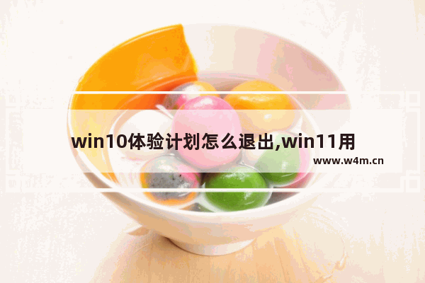 win10体验计划怎么退出,win11用户体验计划