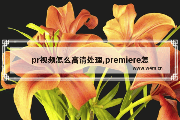 pr视频怎么高清处理,premiere怎么提高视频画质