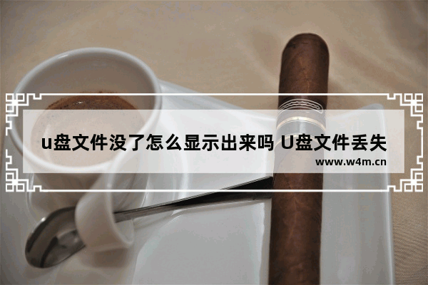 u盘文件没了怎么显示出来吗 U盘文件丢失如何找回？