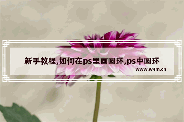 新手教程,如何在ps里画圆环,ps中圆环怎么画