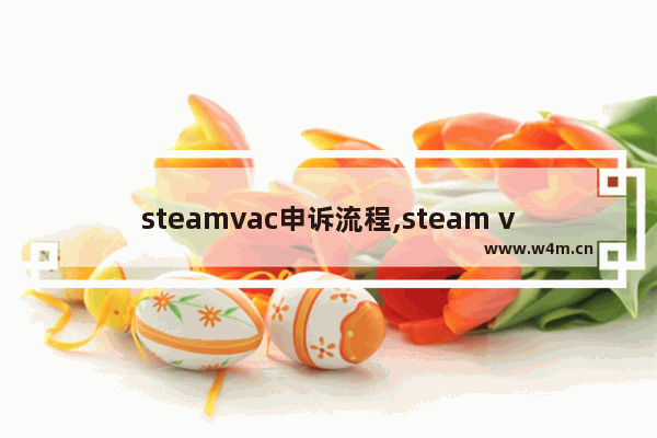 steamvac申诉流程,steam vac申诉