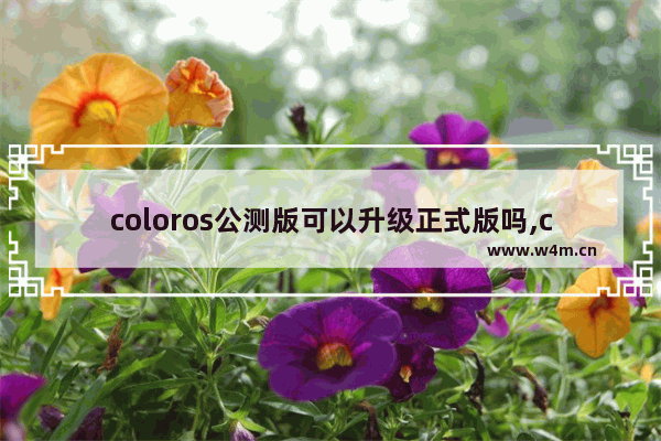 coloros公测版可以升级正式版吗,coloros版本可以升级吗