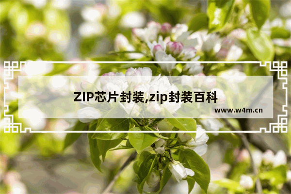 ZIP芯片封装,zip封装百科