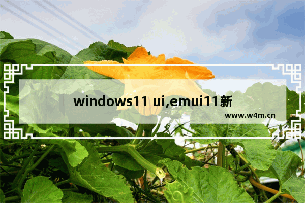 windows11 ui,emui11新ui