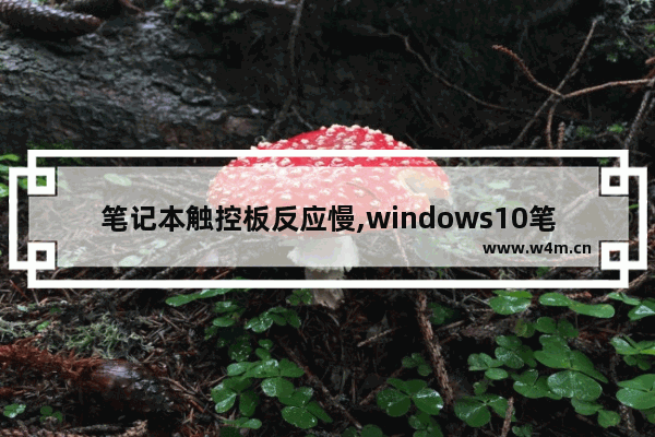 笔记本触控板反应慢,windows10笔记本反应很慢