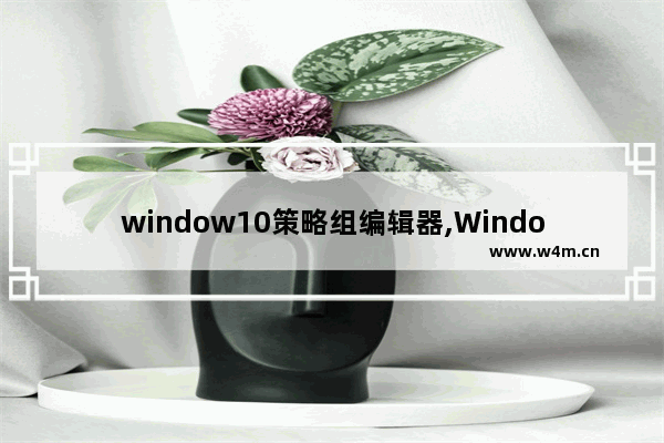 window10策略组编辑器,Windows11编辑组策略