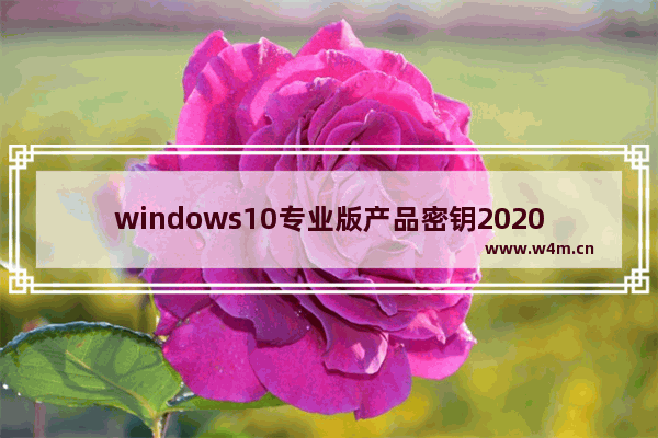 windows10专业版产品密钥2020,win10专业版最新产品密钥