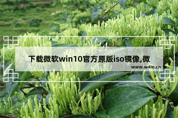 下载微软win10官方原版iso镜像,微软原版windows10 iso镜像