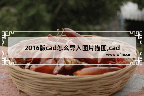 2016版cad怎么导入图片描图,cad2016如何导入图片描图