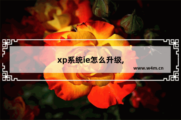 xp系统ie怎么升级,