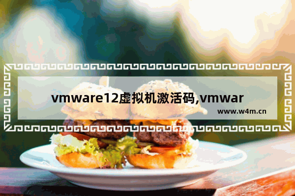 vmware12虚拟机激活码,vmware14激活码