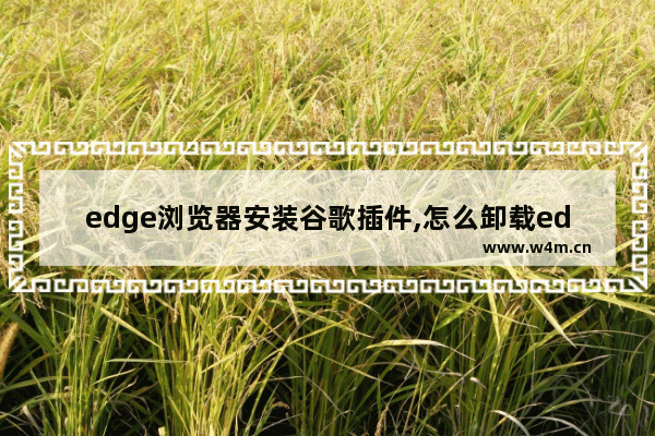 edge浏览器安装谷歌插件,怎么卸载edge更新