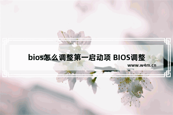 bios怎么调整第一启动项 BIOS调整第一启动项的方法