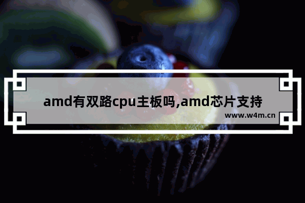 amd有双路cpu主板吗,amd芯片支持n卡吗