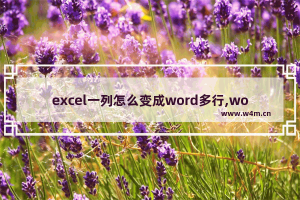 excel一列怎么变成word多行,word文档怎么把一列变成多列