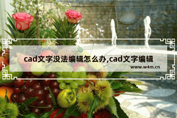 cad文字没法编辑怎么办,cad文字编辑不了怎么办