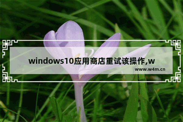 windows10应用商店重试该操作,windows10应用商店出错