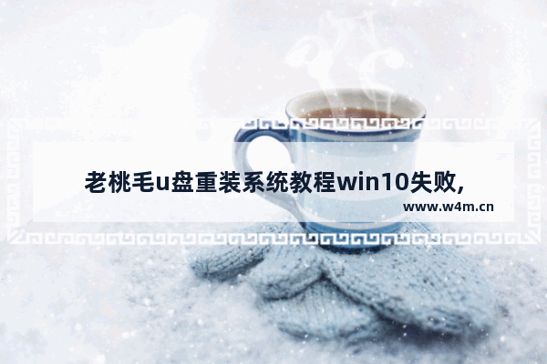 老桃毛u盘重装系统教程win10失败,