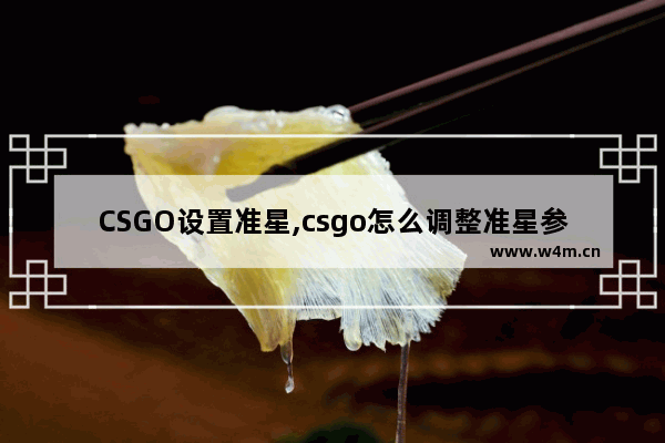 CSGO设置准星,csgo怎么调整准星参数