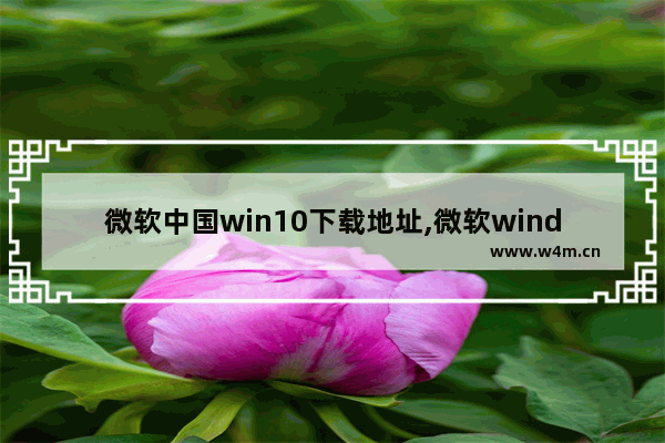 微软中国win10下载地址,微软windows10下载地址_1