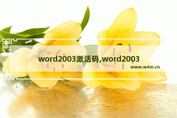 word2003激活码,word2003产品密码