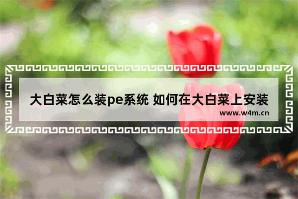 大白菜怎么装pe系统 如何在大白菜上安装PE系统