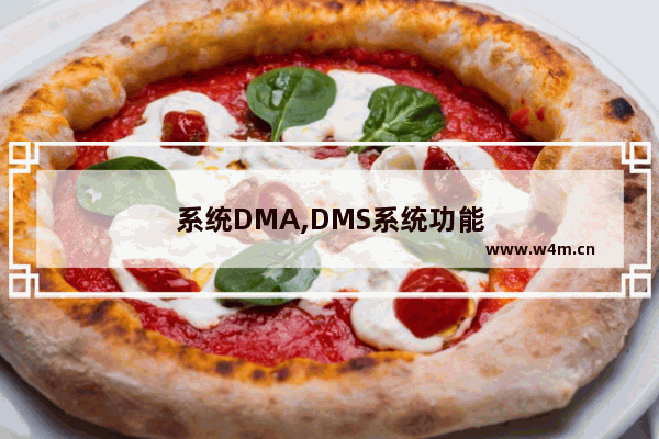 系统DMA,DMS系统功能