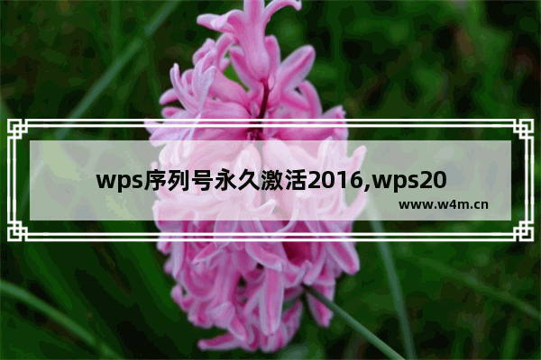 wps序列号永久激活2016,wps2013激活码序列号